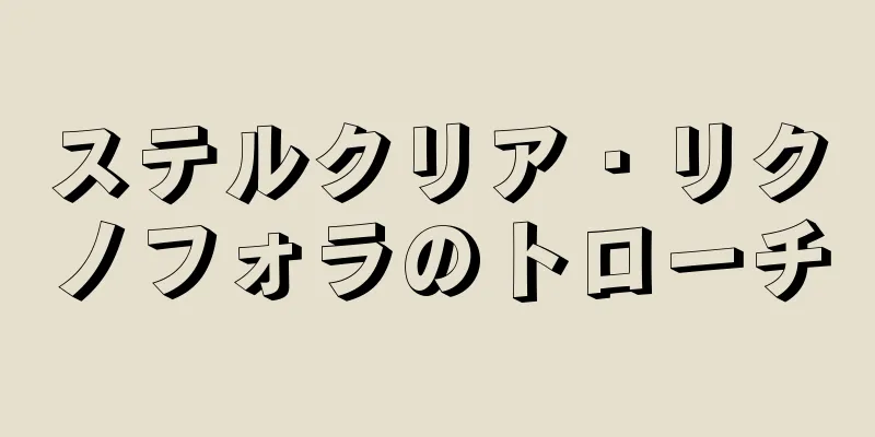 ステルクリア・リクノフォラのトローチ