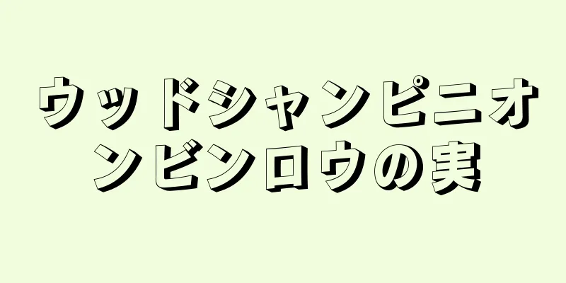 ウッドシャンピニオンビンロウの実