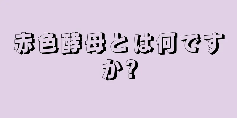 赤色酵母とは何ですか?