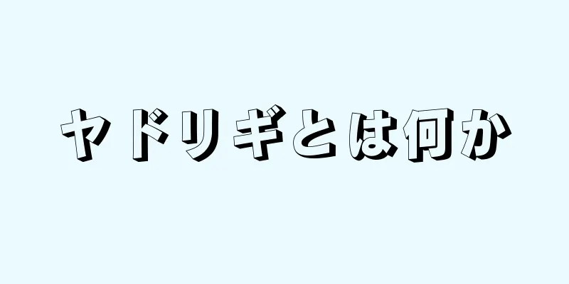 ヤドリギとは何か
