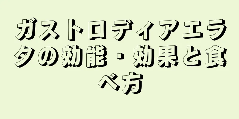 ガストロディアエラタの効能・効果と食べ方