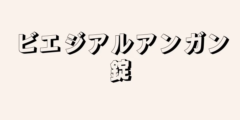 ビエジアルアンガン錠