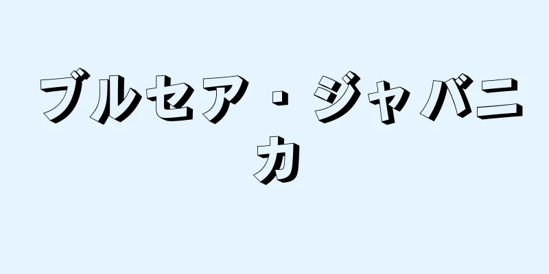 ブルセア・ジャバニカ