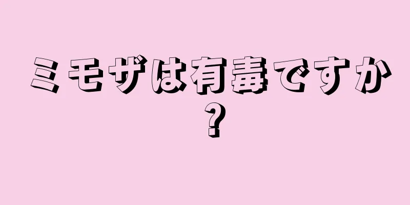ミモザは有毒ですか？