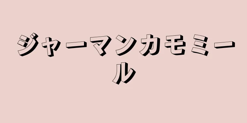 ジャーマンカモミール