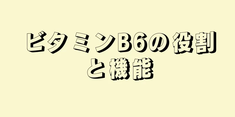ビタミンB6の役割と機能