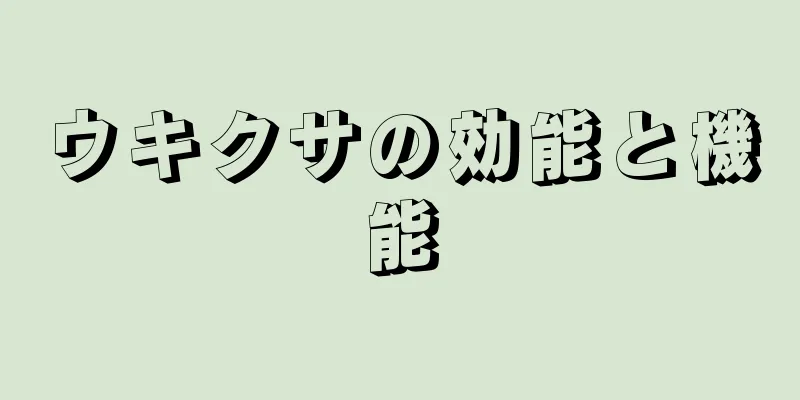 ウキクサの効能と機能