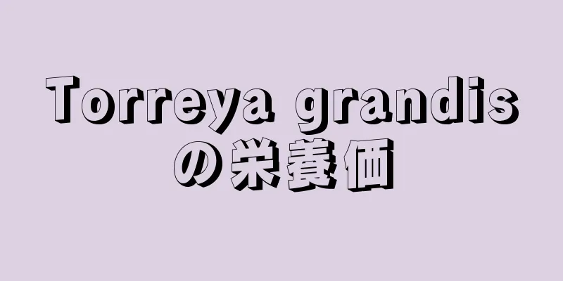 Torreya grandisの栄養価