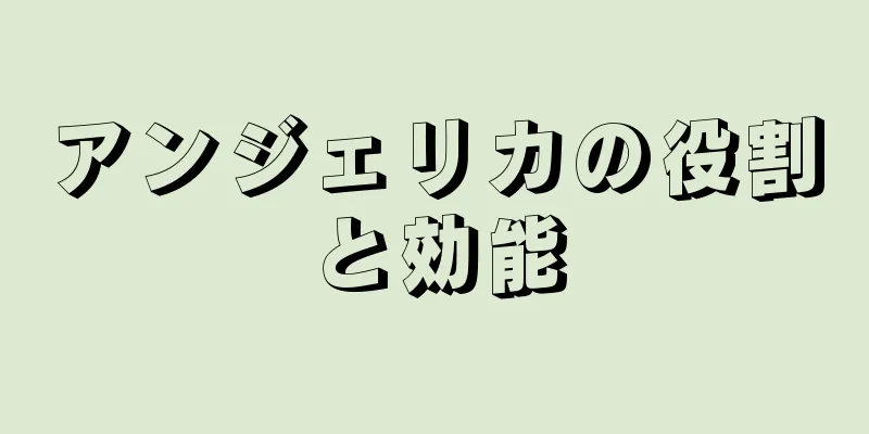 アンジェリカの役割と効能