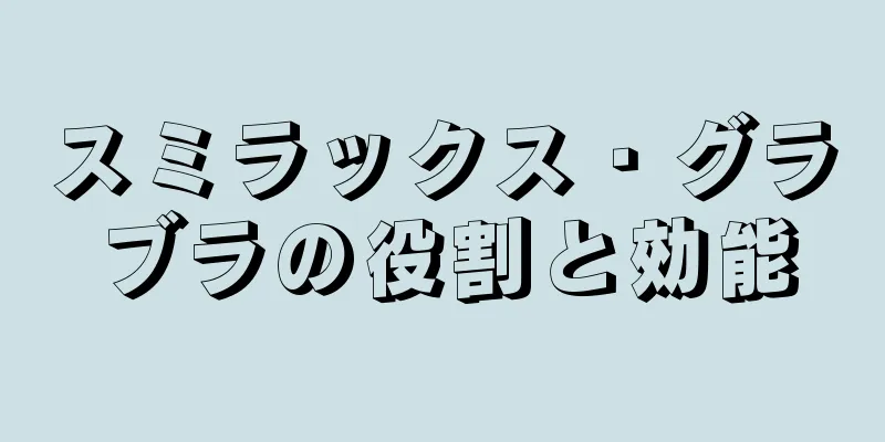 スミラックス・グラブラの役割と効能