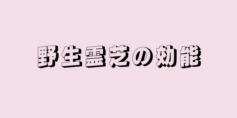 野生霊芝の効能