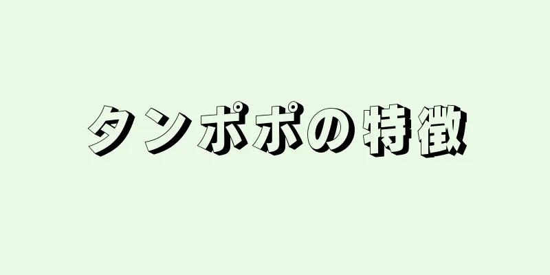 タンポポの特徴