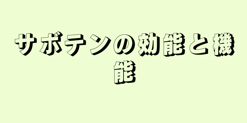 サボテンの効能と機能