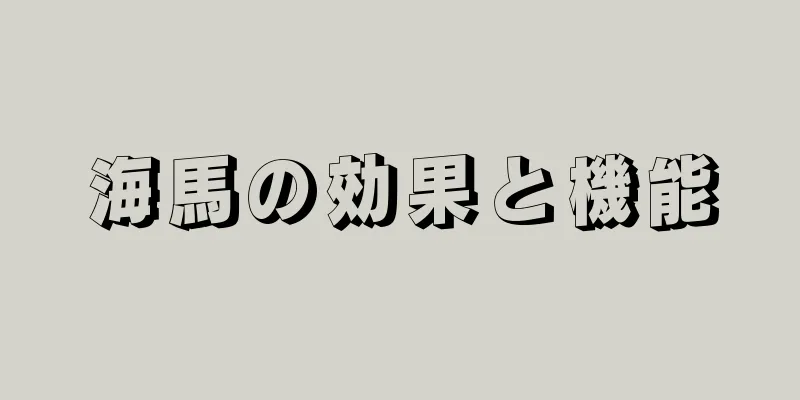 海馬の効果と機能