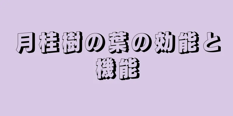 月桂樹の葉の効能と機能