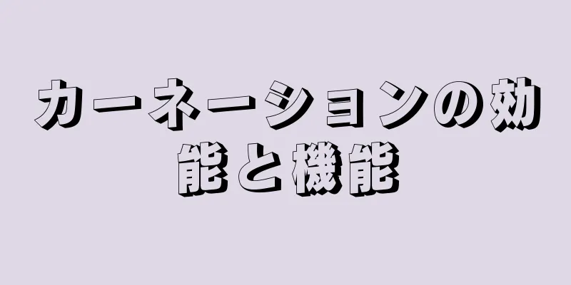 カーネーションの効能と機能