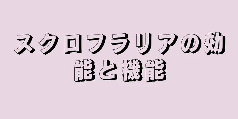 スクロフラリアの効能と機能