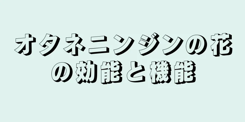 オタネニンジンの花の効能と機能