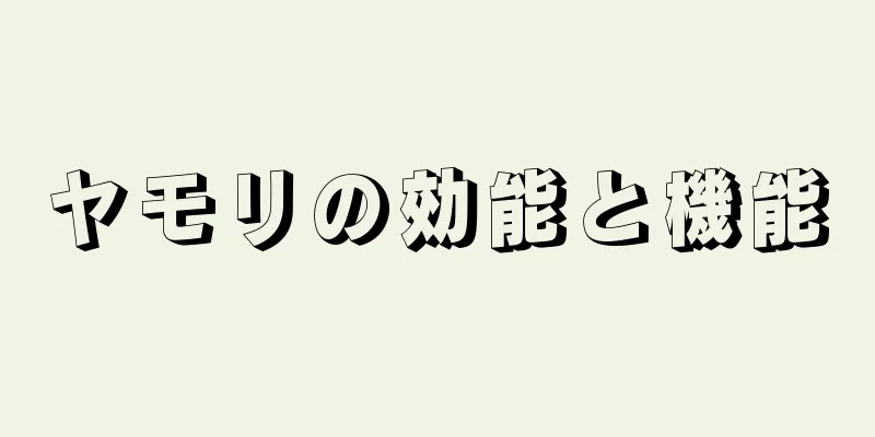 ヤモリの効能と機能