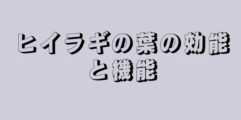 ヒイラギの葉の効能と機能
