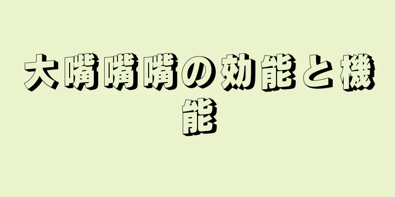 大嘴嘴嘴の効能と機能