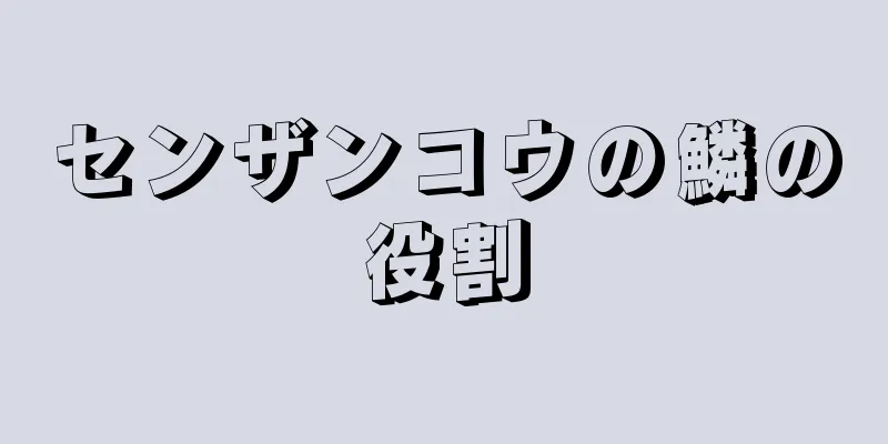 センザンコウの鱗の役割
