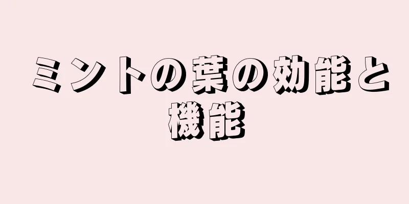 ミントの葉の効能と機能