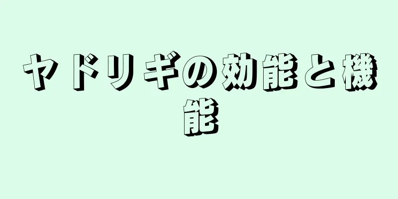ヤドリギの効能と機能