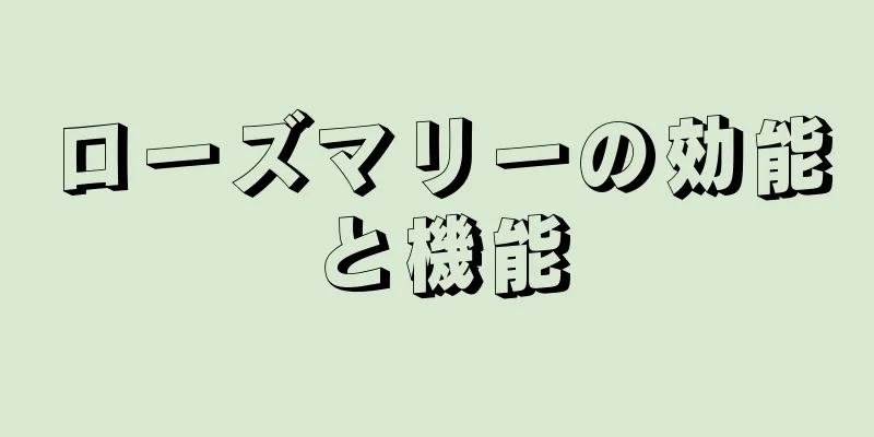 ローズマリーの効能と機能
