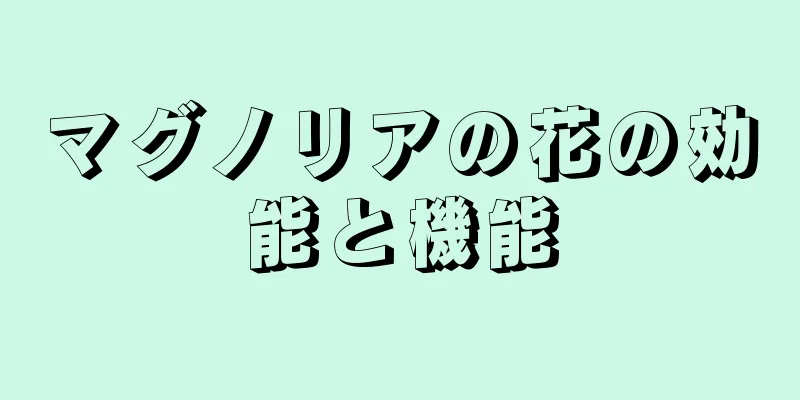 マグノリアの花の効能と機能