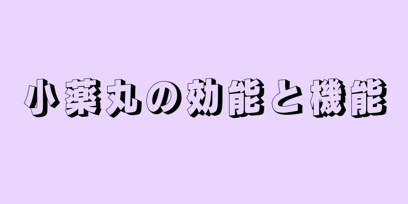 小薬丸の効能と機能