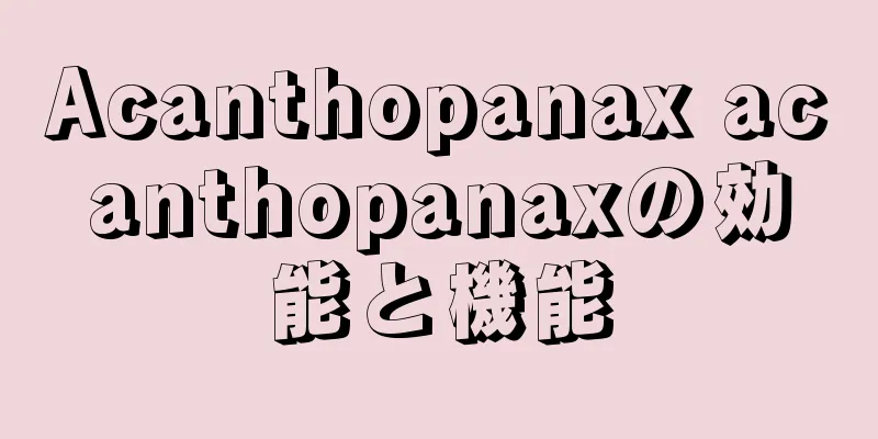 Acanthopanax acanthopanaxの効能と機能