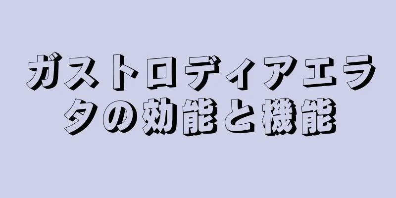 ガストロディアエラタの効能と機能