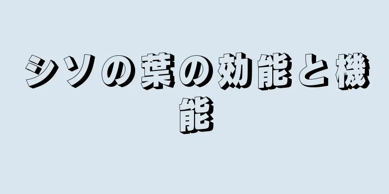 シソの葉の効能と機能