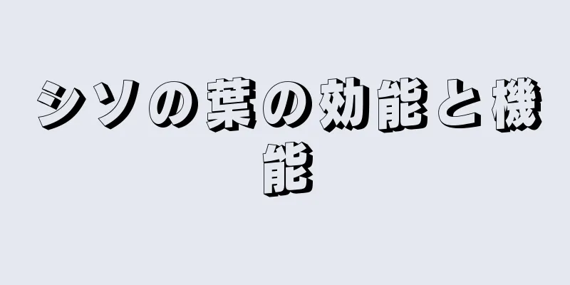 シソの葉の効能と機能