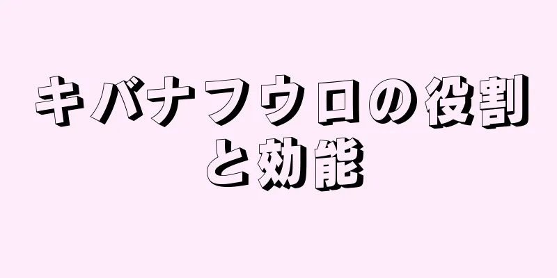キバナフウロの役割と効能