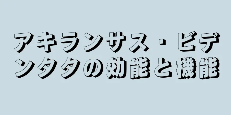 アキランサス・ビデンタタの効能と機能