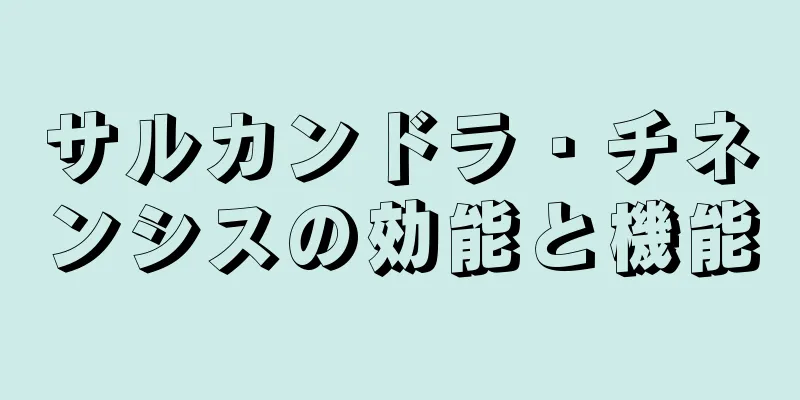 サルカンドラ・チネンシスの効能と機能