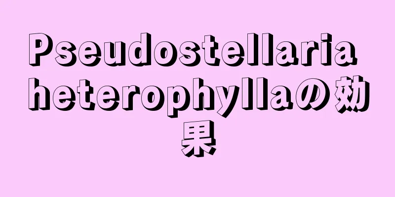 Pseudostellaria heterophyllaの効果