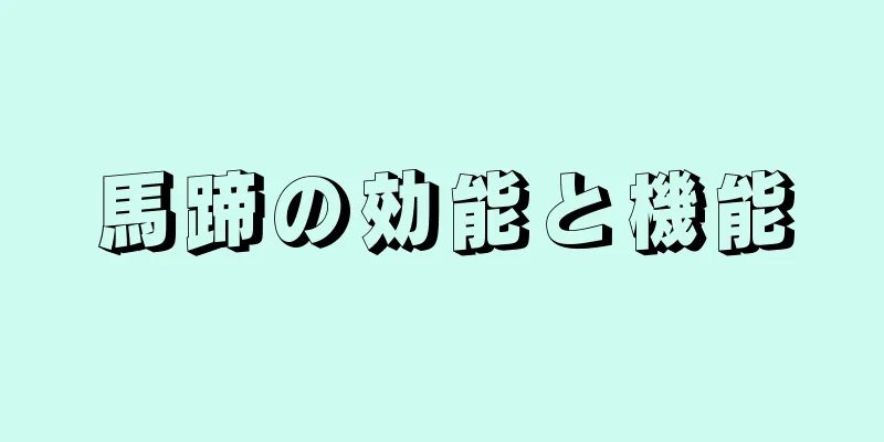 馬蹄の効能と機能