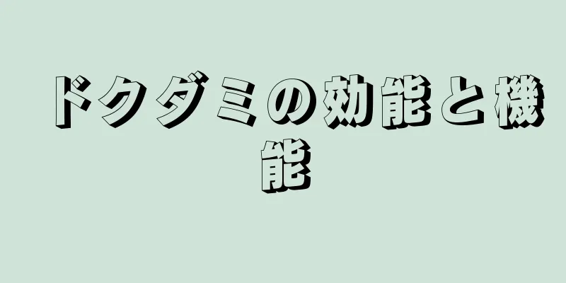 ドクダミの効能と機能