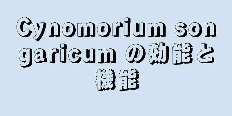 Cynomorium songaricum の効能と機能