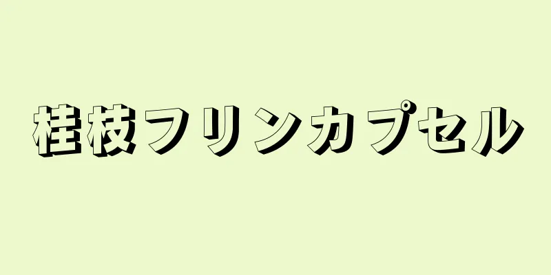 桂枝フリンカプセル