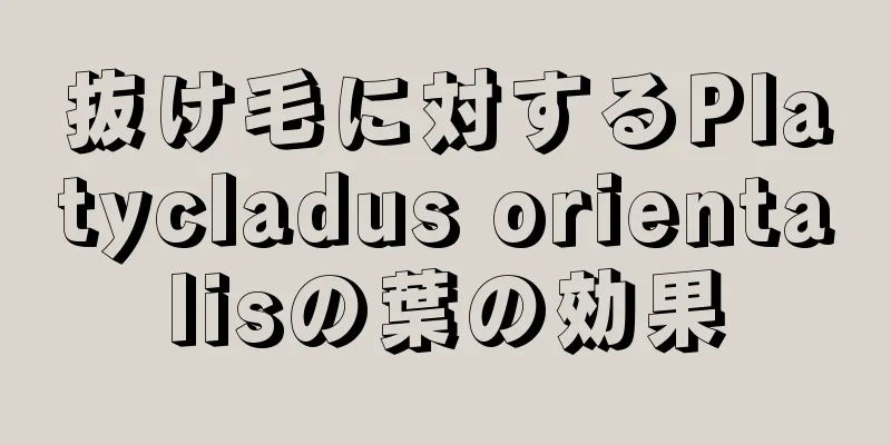 抜け毛に対するPlatycladus orientalisの葉の効果
