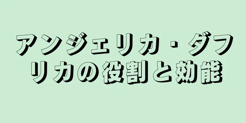 アンジェリカ・ダフリカの役割と効能