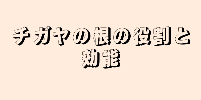 チガヤの根の役割と効能