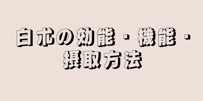 白朮の効能・機能・摂取方法
