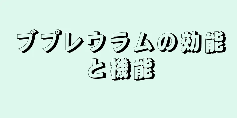 ブプレウラムの効能と機能