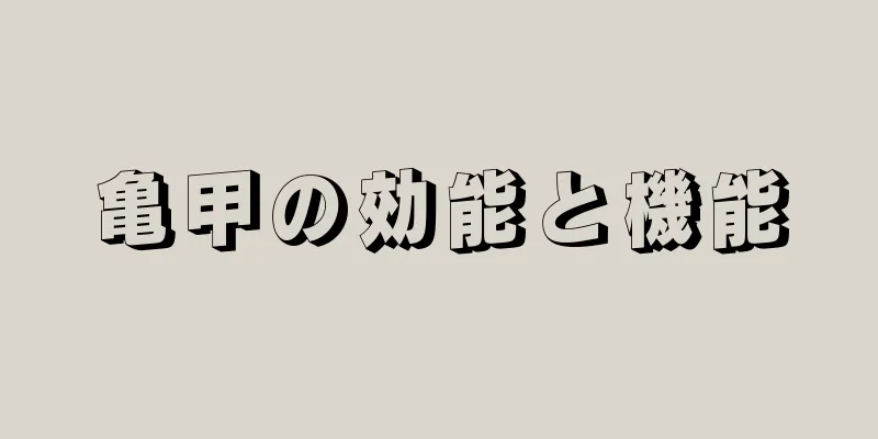 亀甲の効能と機能