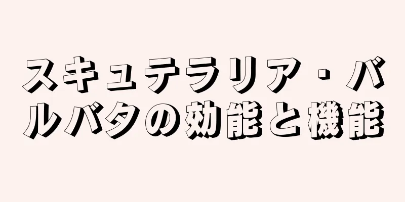 スキュテラリア・バルバタの効能と機能